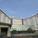 건강초음파 | 림프종 완치 이후 건강검진에서 갑상선 결절 발견한 후기 (초음파 결과 포함)