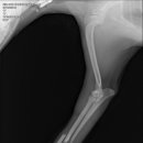 딜리동물병원 이미지