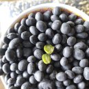 서리태5kg= 40 000원 추첨 5분 동참합니다 이미지