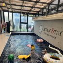 동춘스테이 | [대부도 펜션] 오션스테이 가족과함께 풀빌라로 즐겨라!