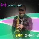 색소폰홀로서기 이미지