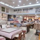 메리퀸동 이미지