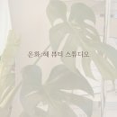 온화혜