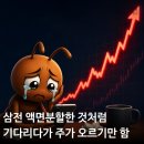 SK글로벌(주) | SK하이닉스와 달리 액면분할한 삼성전자. 삼전이 액면분할 안 했다면? +)덕분에 삼전 1주 산 후기