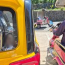 공존의 행복 | [우도] 날 좋은 봄날의 우도 후기｜아름다운 바다｜장·단점 공존하는 곳｜솔직 후기