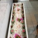 후불상조