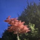 남양3호 근린공원 이미지