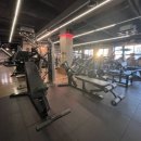 스타짐23 이미지