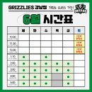그리즐리스스포츠 이미지