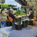 서하농장 이미지