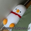 런치 에디션 / 위드아웃썸머 셋업 신상 / 신라호텔 강민경 케이크 후기 / 생일 집밥 메뉴, 도산공원 하움