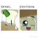 청송여행