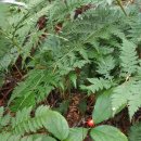 홀뫼농장 이미지