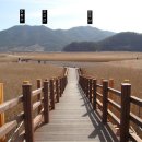 제167회 둘토 11월14일 정기산행 전남순천 앵무산 생태공원 갈대밭 트래킹 이미지