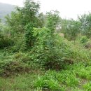 가람합동부동산중개사무소 이미지