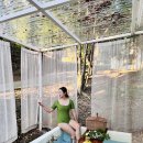 스테이 사계 이미지