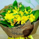 대가야센터-9 이미지