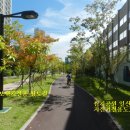 양덕동349 이미지