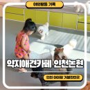 약지애견카페 | 인천 논현 아이와 약지애견카페 입장료