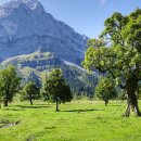 영어와 Craft 이미지