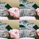 서신애 카카오 검색결과