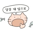 오산장재윤짬뽕