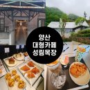 태평양목장 | [내돈내산]봄,겨울 방문한 부산 근교 양산 사송 대형카페 성림 목장