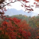 백운동정원 이미지