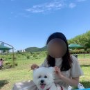 김밥천국건물주 이미지