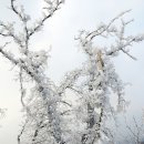 눈길 – 명지산,연인산,우정봉 이미지