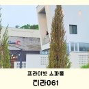 티라061 이미지