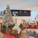 오픈콜라 이미지