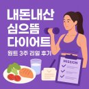 차고치는 집 | 심으뜸 다이어트로 진짜 뺐어요｜내돈내산 원트 다이어트 후기 (3주간 변화 기록)