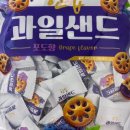 샌드 유