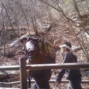 원당연세병원 이미지