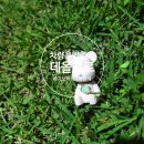 데올로르 | 차량용방향제 / 데올로르 베어브릭 석고방향제