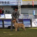 캡틴 켄넬 이미지