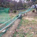 혁이네농장 이미지