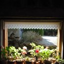 보이는 당구 (입문에서80까지)B | 후지 파인픽스 Z80 스펙 및 작례 사진 후기