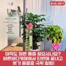걸포로 | 김포 바른바디케어, 걸포북역림프관리 통증마사지 까지 1:1 맞춤 후기