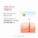 사바비안화장품 이미지
