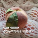 향백 - 동작구 국사봉1길 108 | 강력추천! 농라 <경산농부의아내 : 미향백도> 복숭아 추천