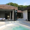 코스타리몬(costa limon) 이미지