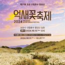 제27회 포천 산정호수 명성산 억새꽃 축제 이미지