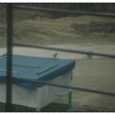 산새랑 게스트하우스 이미지