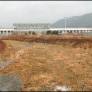 고천 쿠키뉴스