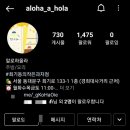 알로하올라 이미지