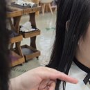 샘스그라지 | 미용실 아라빛헤어, 오랜만에 ‘찐 만족’… 손상 없고 자연스러운 단발 찾았어요 (ft. 아라빛헤어 이서샘)