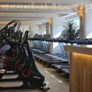 메이저피트니스 이미지