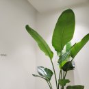 마음빛정신건강의학과의원 이미지